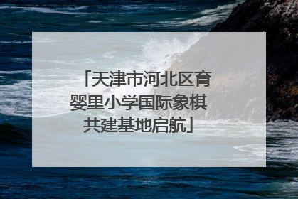 天津市河北区育婴里小学国际象棋共建基地启航